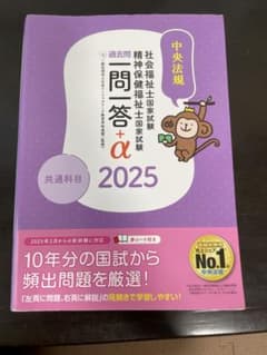過去問一問一答+α 2025 社会福祉士・精神保健福祉士のサムネイル