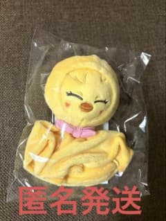 公式品 未開封 Stray Kids てるてる坊主バッグチャーム ポガリ スキズ
