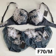 サルート サマルカンド F70/Mショーツ×2枚 GR P-upブラ 14 - メルカリ