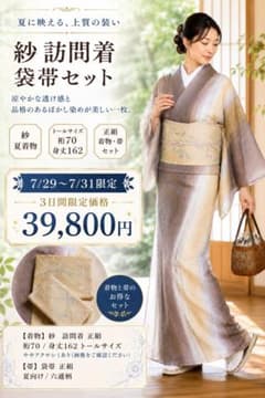 正絹 紗 訪問着 夏袋帯セット 手縫い仕立て 裄70 トールサイズ 広衿