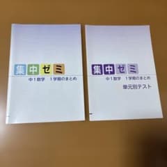 集中ゼミ　中1数学　1学期のまとめのサムネイル