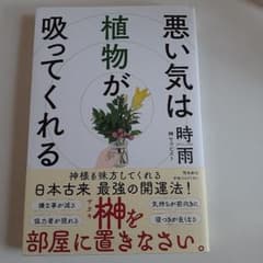 悪い気は植物が吸ってくれるのサムネイル