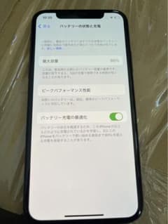 Apple iPhone X 256GB iOS 16.7.8のサムネイル