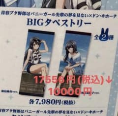 【linさん専用】青ブタ×ドン・キホーテ第1弾 等身大タペストリー2種類のサムネイル