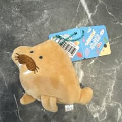 つぶらな瞳の水族館 マスコット セイウチのサムネイル