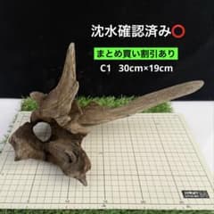 煮沸・沈水確認済み】 C1 天然流木 アクアリウム、爬虫類用 - メルカリ