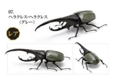 いきもの大図鑑 ヘラクレス レアのサムネイル