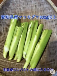 愛知県産 マコモダケ宅急便コンパクトに入るだけ（800g以上）のサムネイル