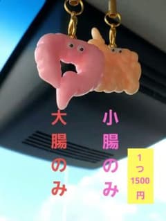 大腸のみ 小腸のみ 手作り 臓器 キーホルダー ハンドメイド - メルカリ