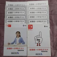 全国統一小学生テスト　6年生　6月　2回分　2014年＆2016年のサムネイル