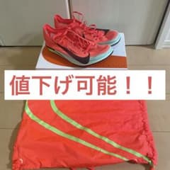 【美品】NIKE ZoomX Dragonfly 2 Elite 27.5cmのサムネイル