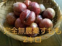 すもも　完全無農薬　2キロのサムネイル