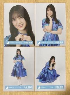 日向坂46 小坂菜緒　生写真　コンプ　53種コンプ c20240529a003a006.jpg