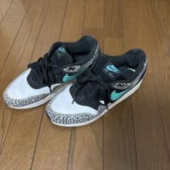 NIKE AIR MAX 1 エレファント柄のサムネイル