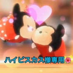 ハイビスカス様専用のサムネイル