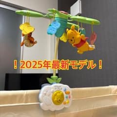箱なし極美品】プーメリー 2025 - メルカリ