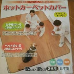 フローリングカーペットのサムネイル