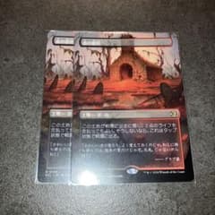 血の墓所 ボーダーレスnon foil 2枚セット 日本語 MTG - メルカリ