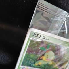 ら*ら様 ナエトル ヒコザルポッチャマ 001から003/PPP 3枚セット 未