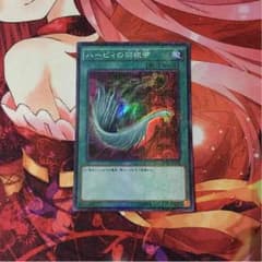 ハーピィの羽根箒のサムネイル