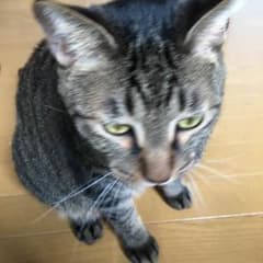 ゆー様専用のサムネイル
