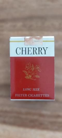 CHERRY ダミー模型 サンプル模型のサムネイル
