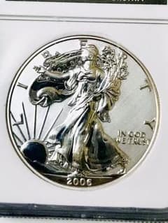 NGC最高鑑定】イーグル銀貨2006 リバースプルーフ - メルカリ