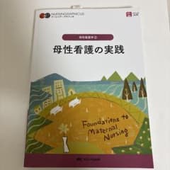 母性看護の実践 = Foundations to Maternal Nursi…のサムネイル