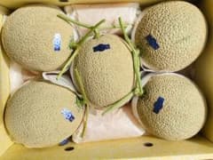 高知産 約8，7kg 5玉 温室マスクメロン 家庭用 北海道沖縄発送