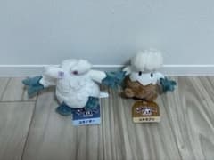이전 태그 Pokémon fit 봉제인형 유키노오 유키카부리 2체 태그 첨부