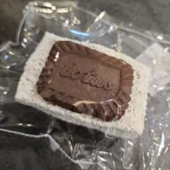 Lotus ロータスクリームケーキ スクイーズ 海外 クッキー お菓子