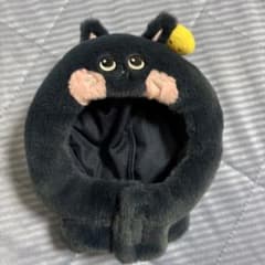 ウォンビン ペンラカバーのサムネイル