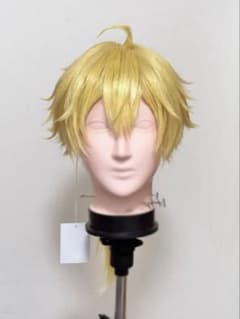 ウィッグセット 確認ページ - メルカリ