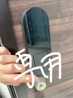 キュリオパッド　専用品のサムネイル