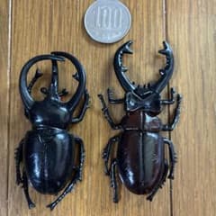 昆虫フィギュア 2体セット カブトムシ クワガタのサムネイル