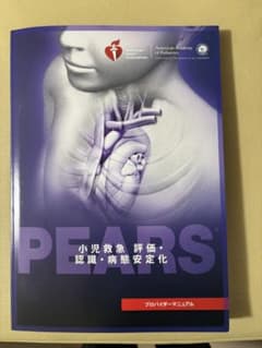 PEARS プロバイダーマニュアルのサムネイル