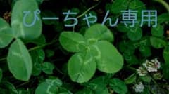 ぴーちゃん専用٩( ᐖ )‎‎‎و ̑̑ ♪のサムネイル