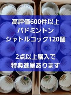 120個 バドミントンシャトル 中古美品入 練習 ノック基礎 手芸 激安