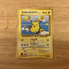 そらをとぶピカチュウ_ANA 「みんなにうれしいキャンペーン