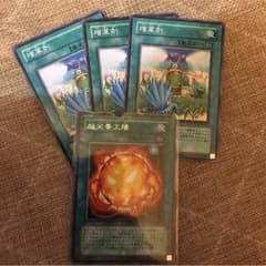 超栄養太陽１枚 増草剤三枚のサムネイル