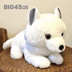 ホッキョクギツネ　きつね　BIG ぬいぐるみ