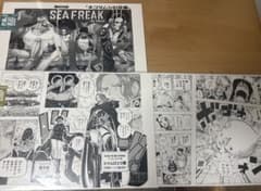 公*o様 ONE PIECE ALL PAGES 扉絵、エルバフ、ドレスローザま 公*o様 ONE PIECE ALL PAGES 扉絵、エルバフ、ドレスローザま - メルカリ
