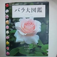 バラ大図鑑のサムネイル