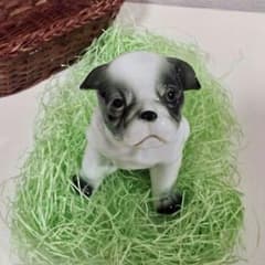 ブルドッグ？パグ？ワンちゃんの陶器のサムネイル