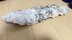 白樺の木　皮　約50cmのサムネイル