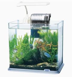 美品！30cm曲げガラス水槽セットのサムネイル