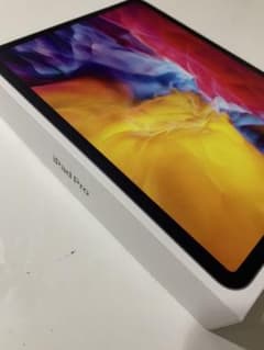 iPad pro 11 第二世代　Wi-Fiモデル256Gのサムネイル