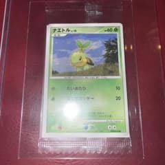ナエトル　ミニカード セブン‐イレブン限定「ポケモンミニカード」シリーズ　未開封 m42476369152_1.jpg?1785065159