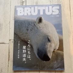 BRUTUS 2016年9月1日号 星野道夫特集のサムネイル