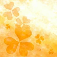kana様 専用出品のサムネイル